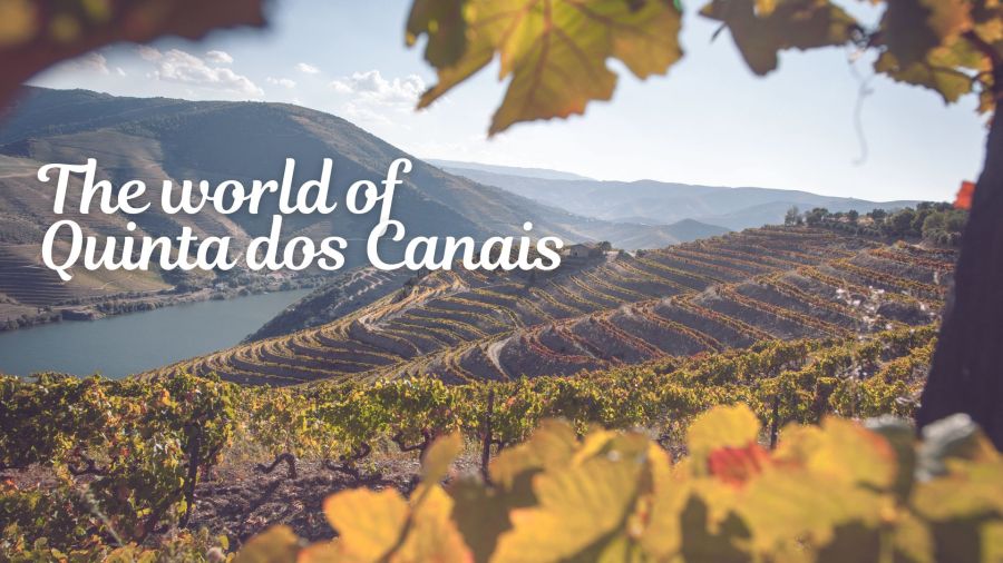 Masterclass de vinho do Porto | O mundo da Quinta dos Canais