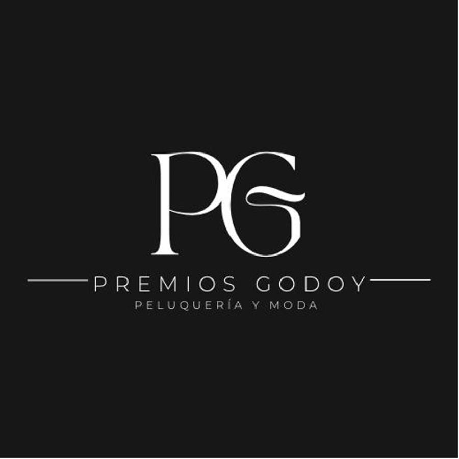 Premios Godoy