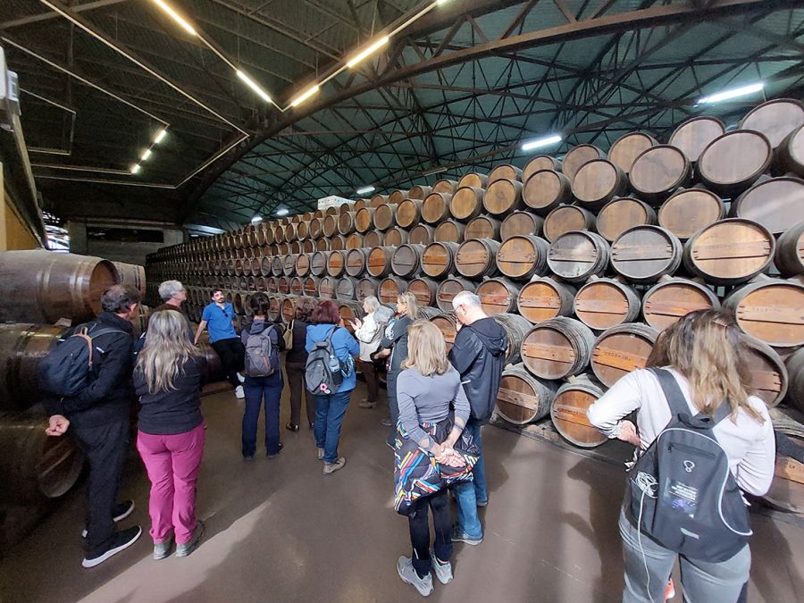        Caminhada com visita à Quinta da Bacalhôa e Palácio
