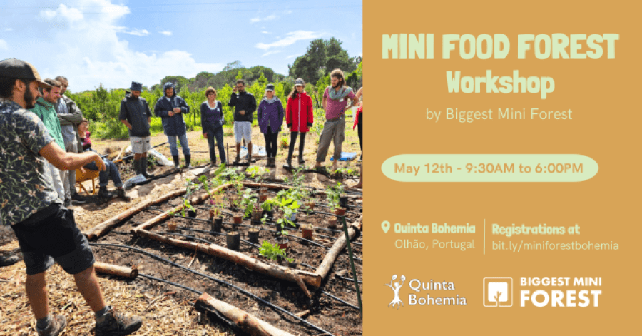 Mini Food Forest Workshop