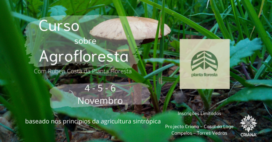 Curso sobre Agrofloresta com Ruben Costa da Planta Floresta