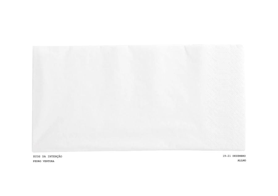 NEW EXHIBITION: ECOS DE INTENÇÃO