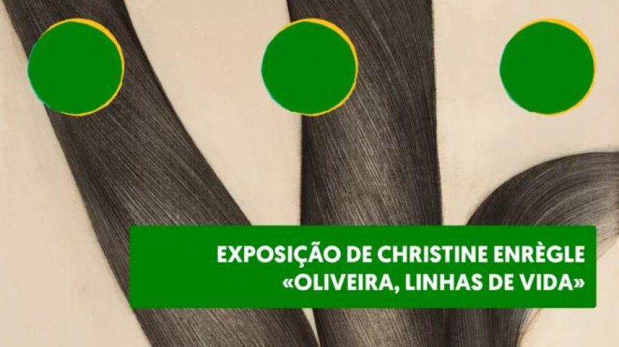 Exposição de Christine Enrègle “Oliveira, linhas de vida”