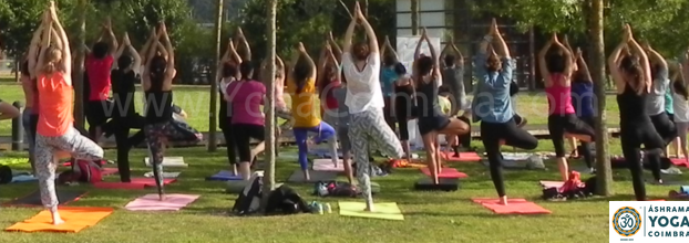 Yoga no Parque - Verão em Coimbra 2018