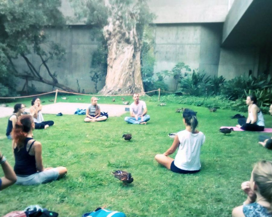 Meditation + Mindfulness in the Park — Free Entry