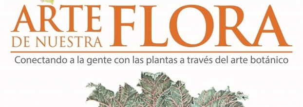 Arte de Nuestra Flora, conectando a la gente con las plantas a través del arte botánico