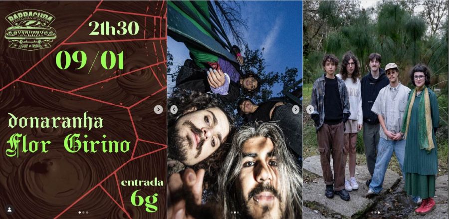 Concerto donaranha + Flor Girino