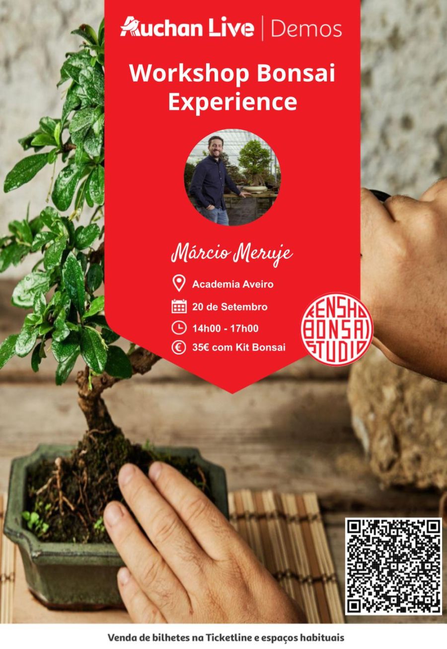 Workshop Bonsai Experience