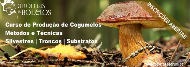 Curso de Produção de Cogumelos: Troncos | Substratos | Silvestres