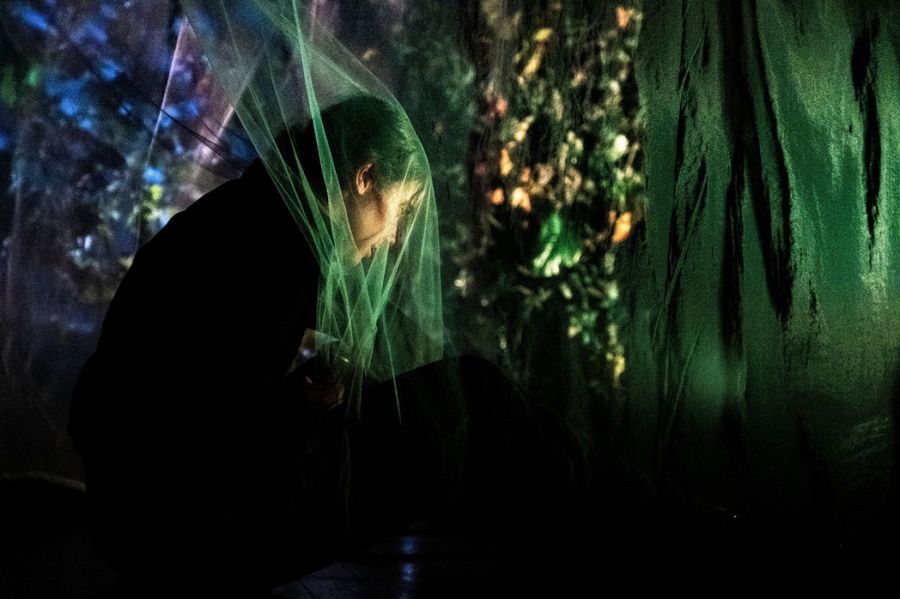 Na Floresta Desaparecida 