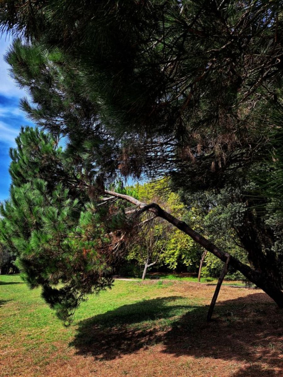 Caminhada Sensório-Contemplativa