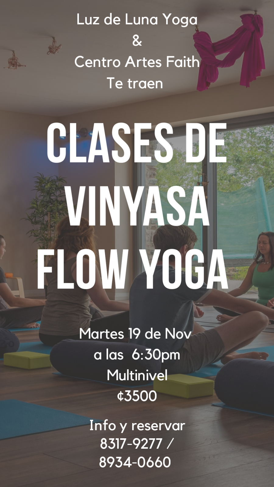 Clase. Luz de luna. Vinyasa flow yoga