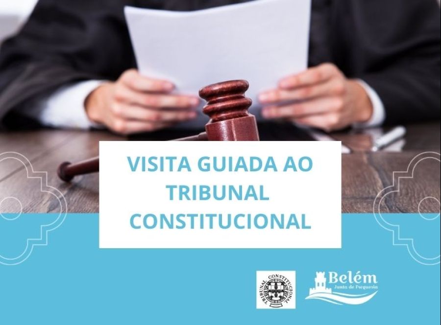 TRIBUNAL CONSTITUCIONAL - Visita para Sénior