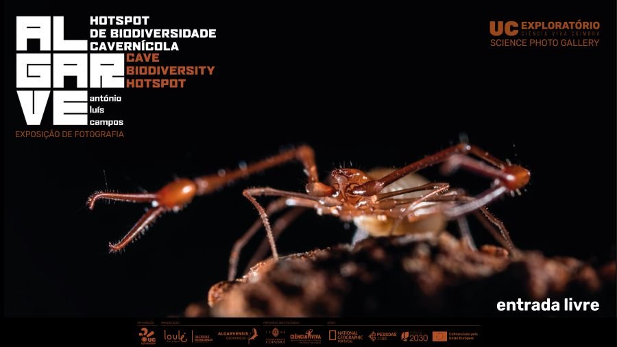 Exposição: Algarve | Hotspot Biodiversidade Cavernícola