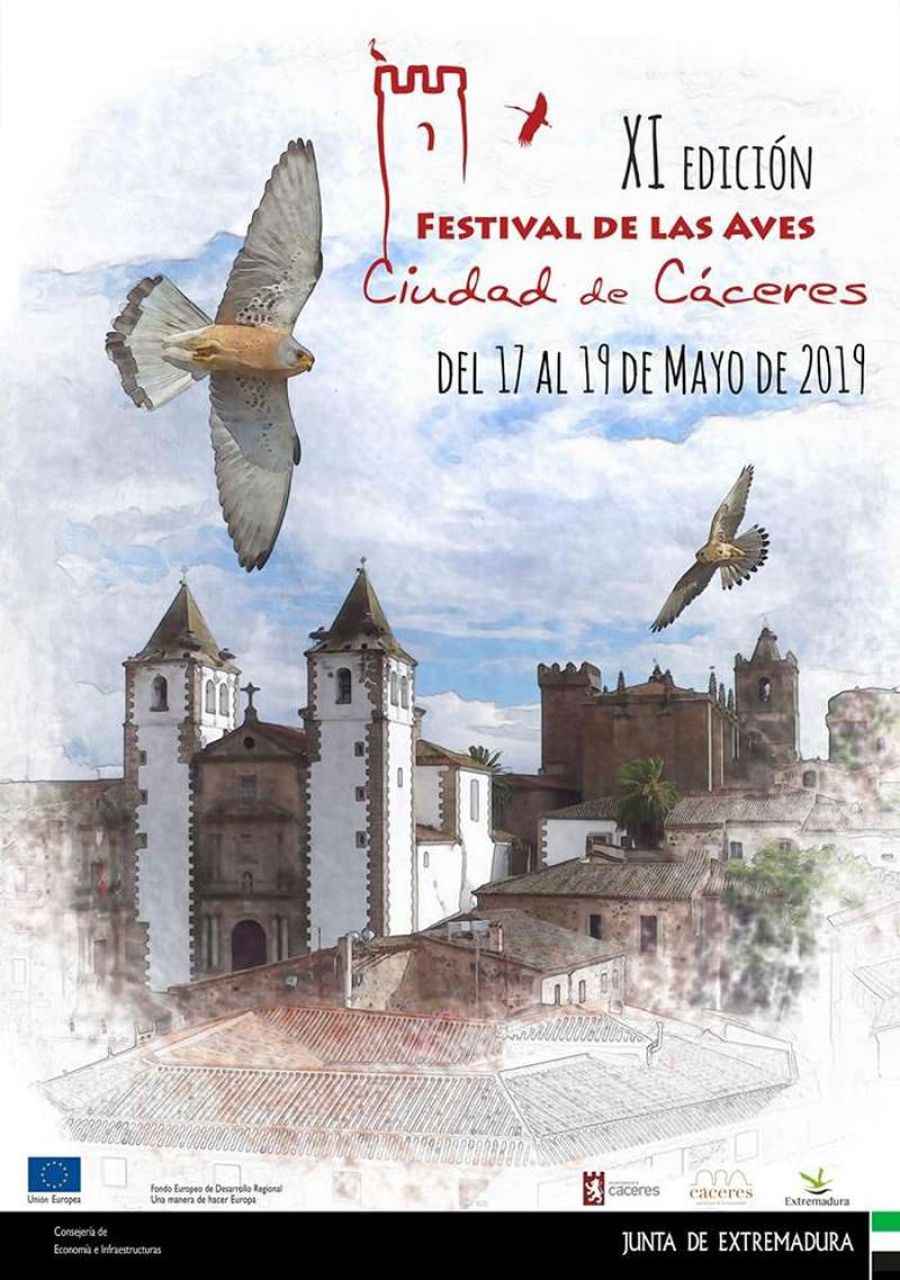 Festival de las Aves de Cáceres 2019