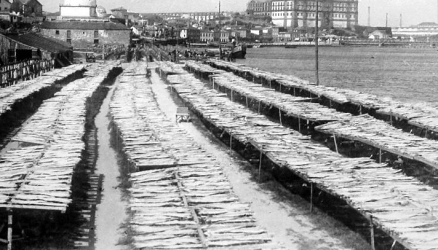 SMT Tour VC (Vila do Conde) - A Journey into the portuguese Atlantic soul 