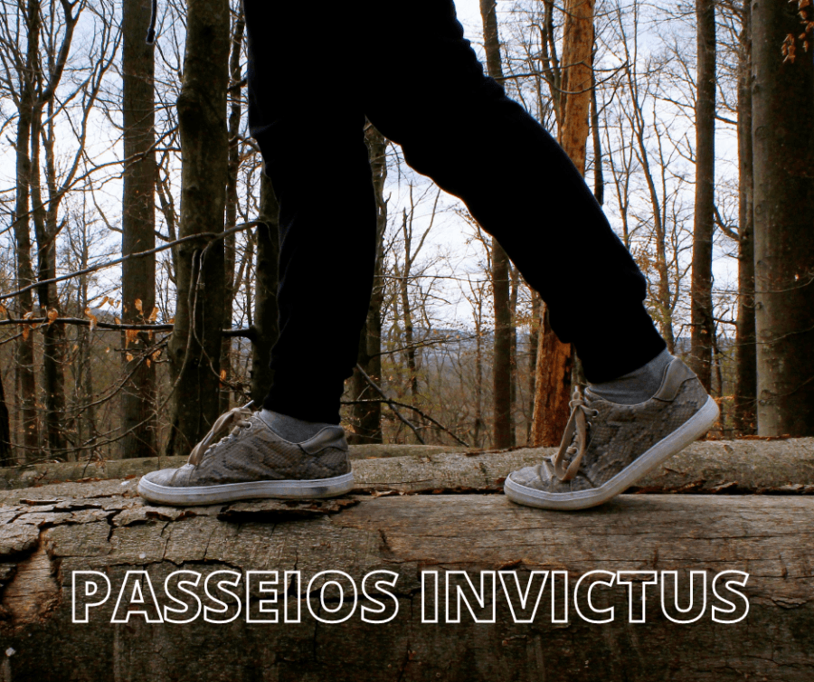Passeios Invictus - Uma nova forma de descobrires o Porto