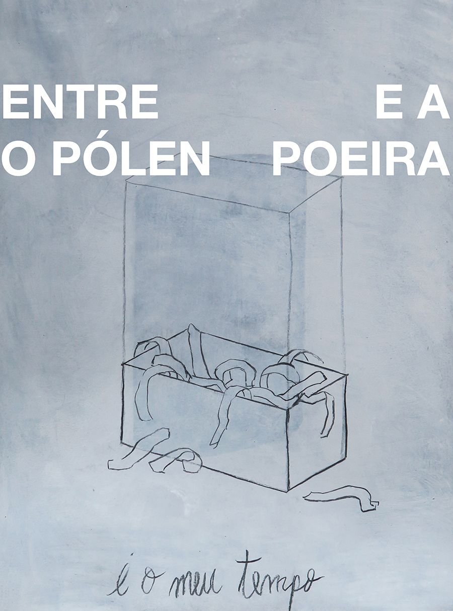 Entre o Pólen e a Poeira