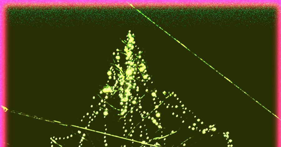 Canto da Teia — Hugo Bernardo, Roger Paulino e Simão Mota Carneiro