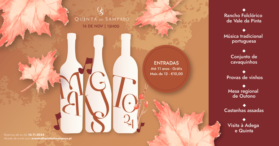 Festa do Magusto - Quinta do Sampayo