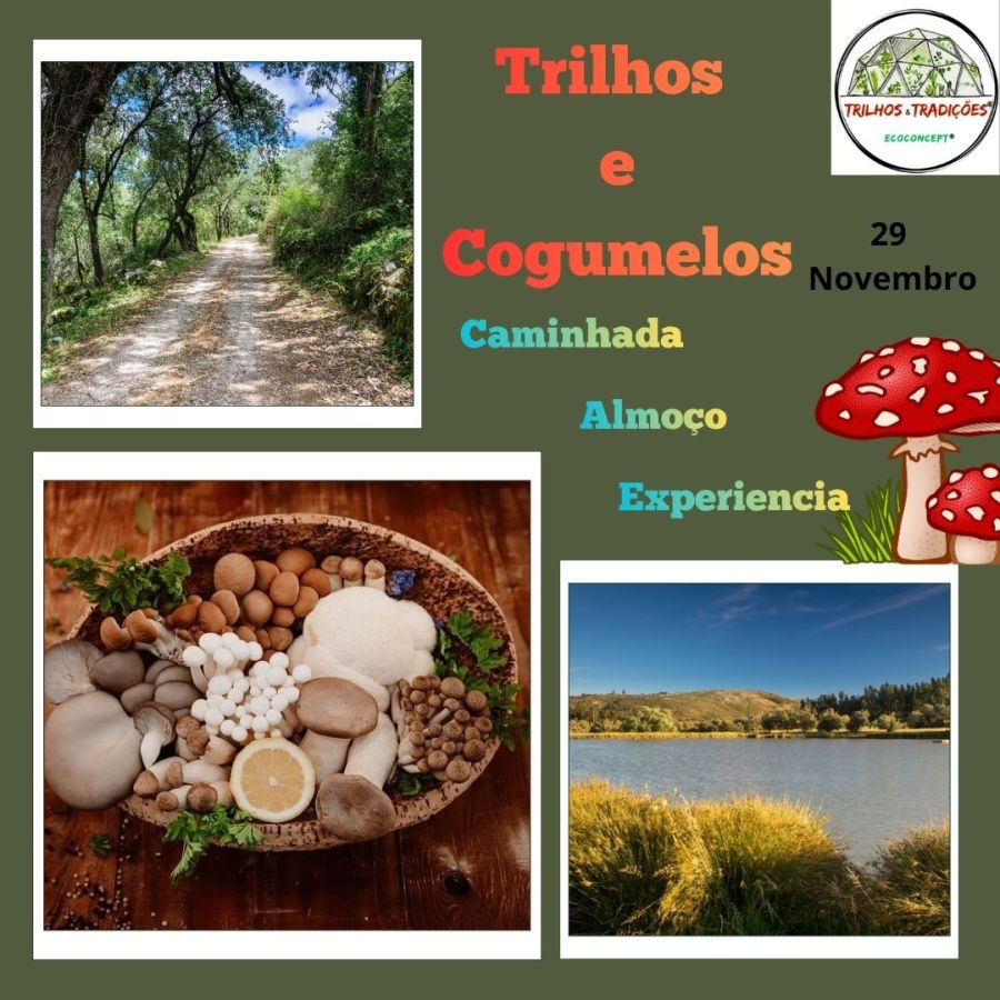 Caminhada com Almoço e Experiência nos Cogumelos Serra da Lua