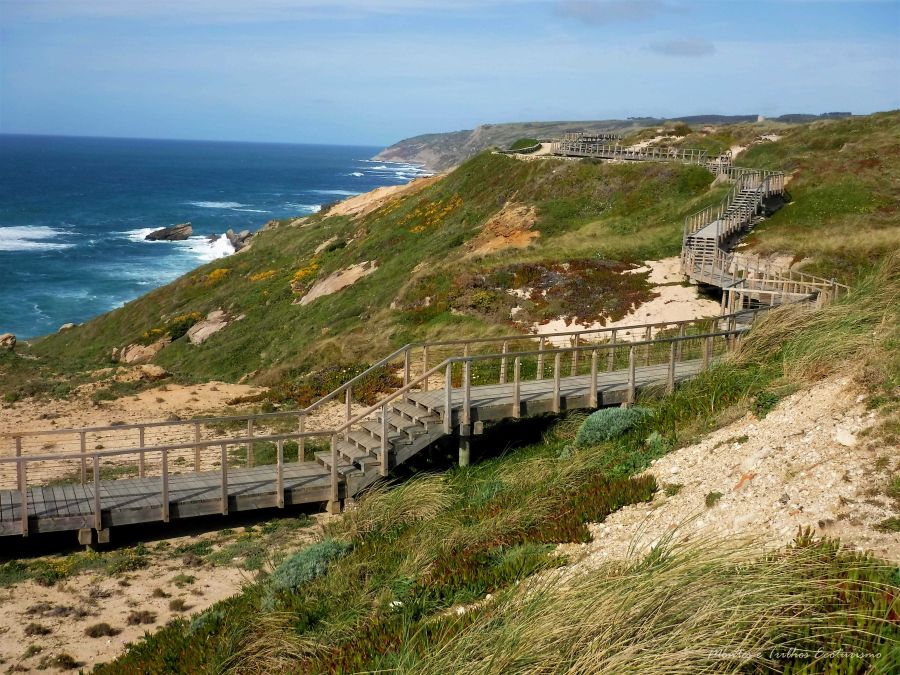 Entre a Serra e o Mar | Foz do Arelho