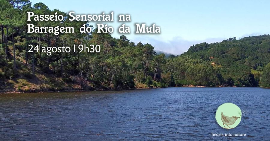 Passeio Sensorial na Barragem do Rio da Mula