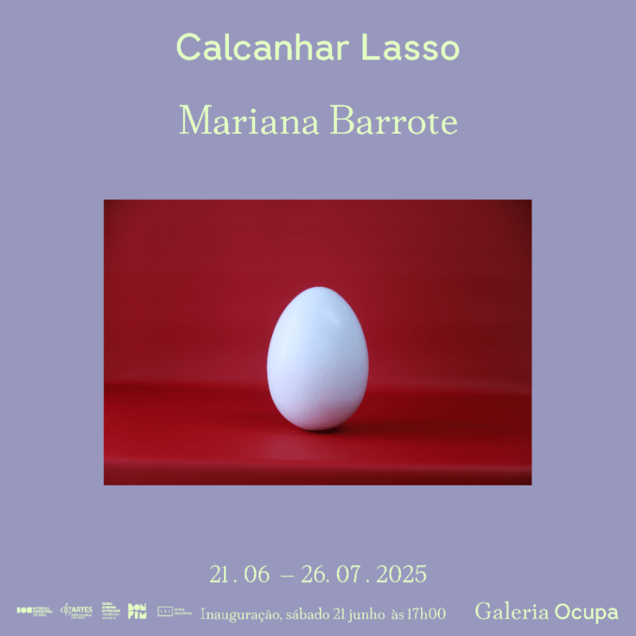Calcanhar Lasso - Mariana Barrote 