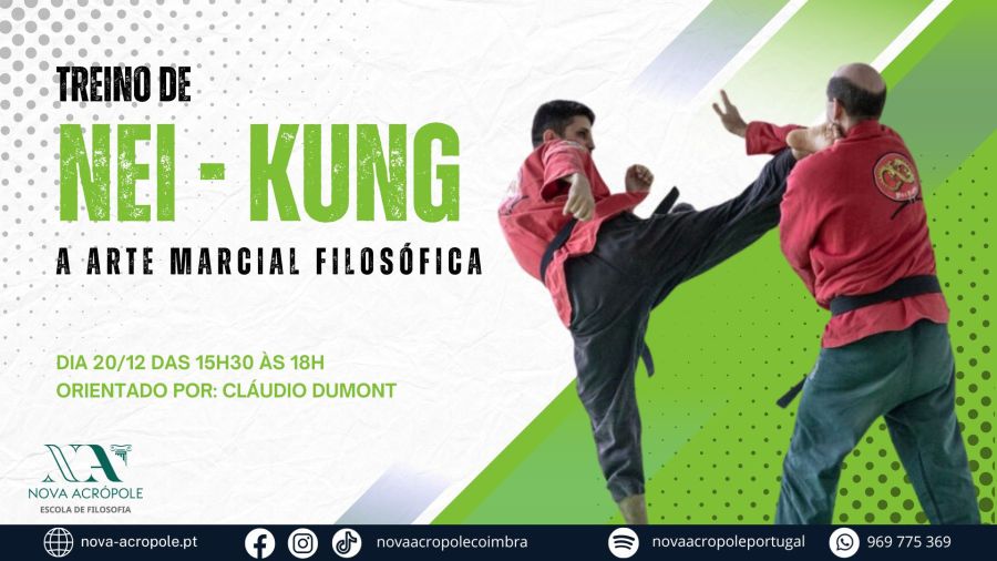 Treino de Nei Kung - A Arte Marcial Filosófica