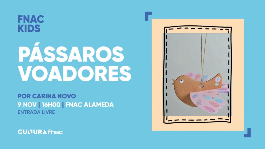 PÁSSAROS VOADORES