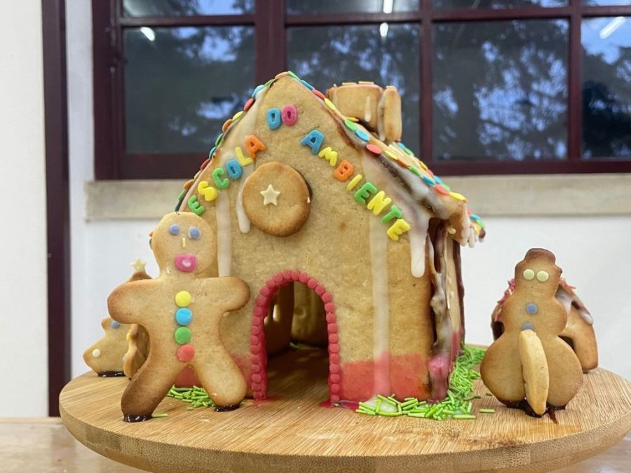 Workshop Construção de Casas de Bolacha | Planeta Aquarela