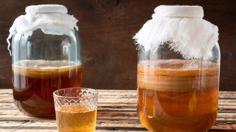 Workshop de Kombucha Artesanal