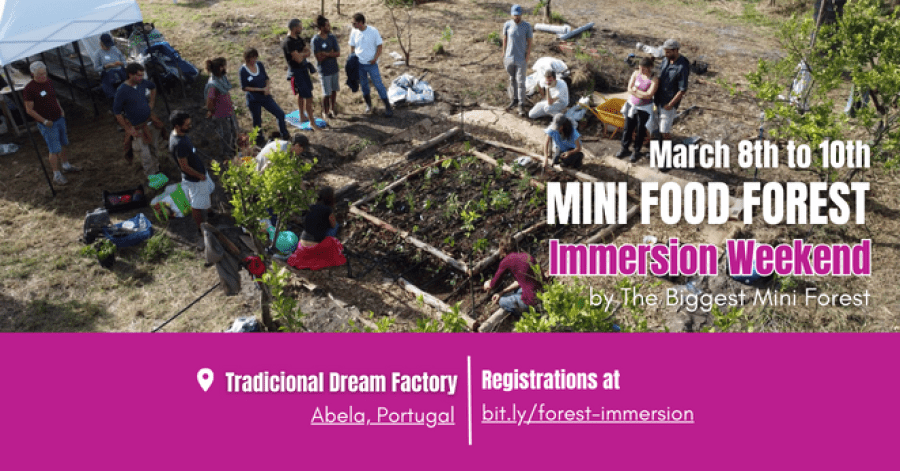 Mini Food Forest - Immersion Weekend