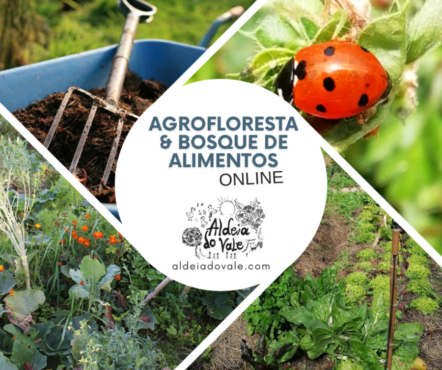 Agrofloresta & Bosque de alimentos ONLINE 