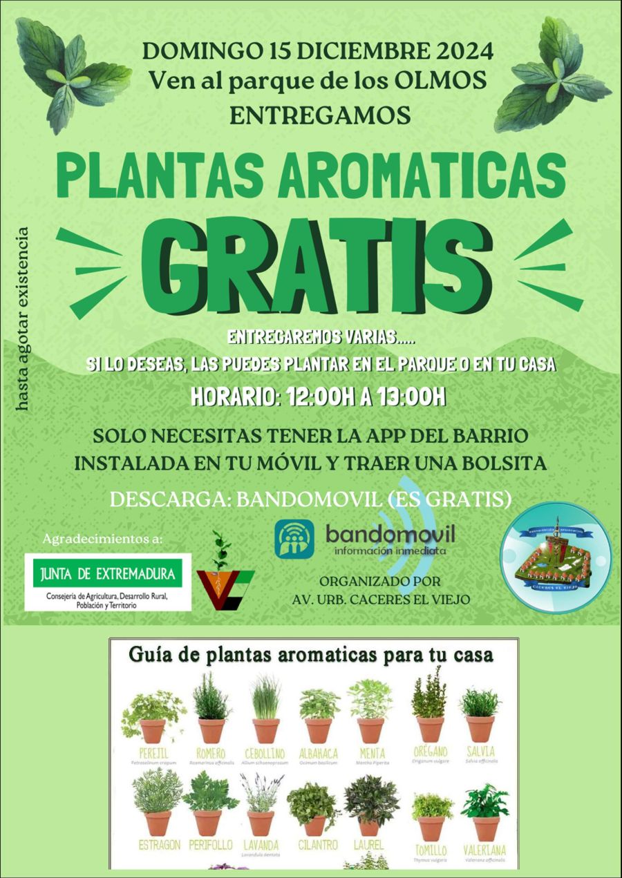 Plantas Aromáticas