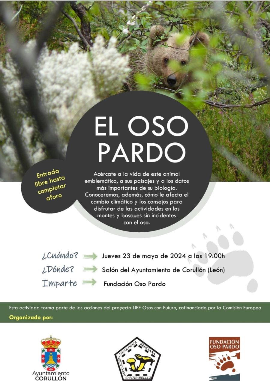 Conferencia | El Oso Pardo