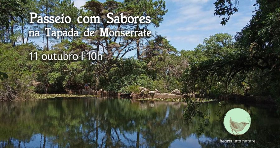 Passeio com Sabores na Tapada de Monserrate
