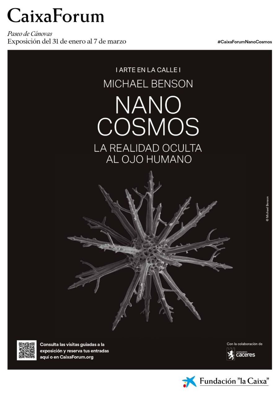 Nanocosmos