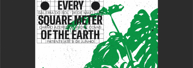 Every Square Meter of the Earth