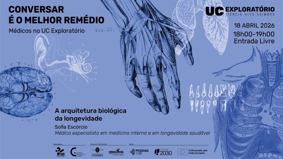 Conversar é o melhor remédio - A arquitetura biológica da longevidade