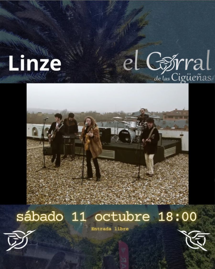 Concierto – LINZE