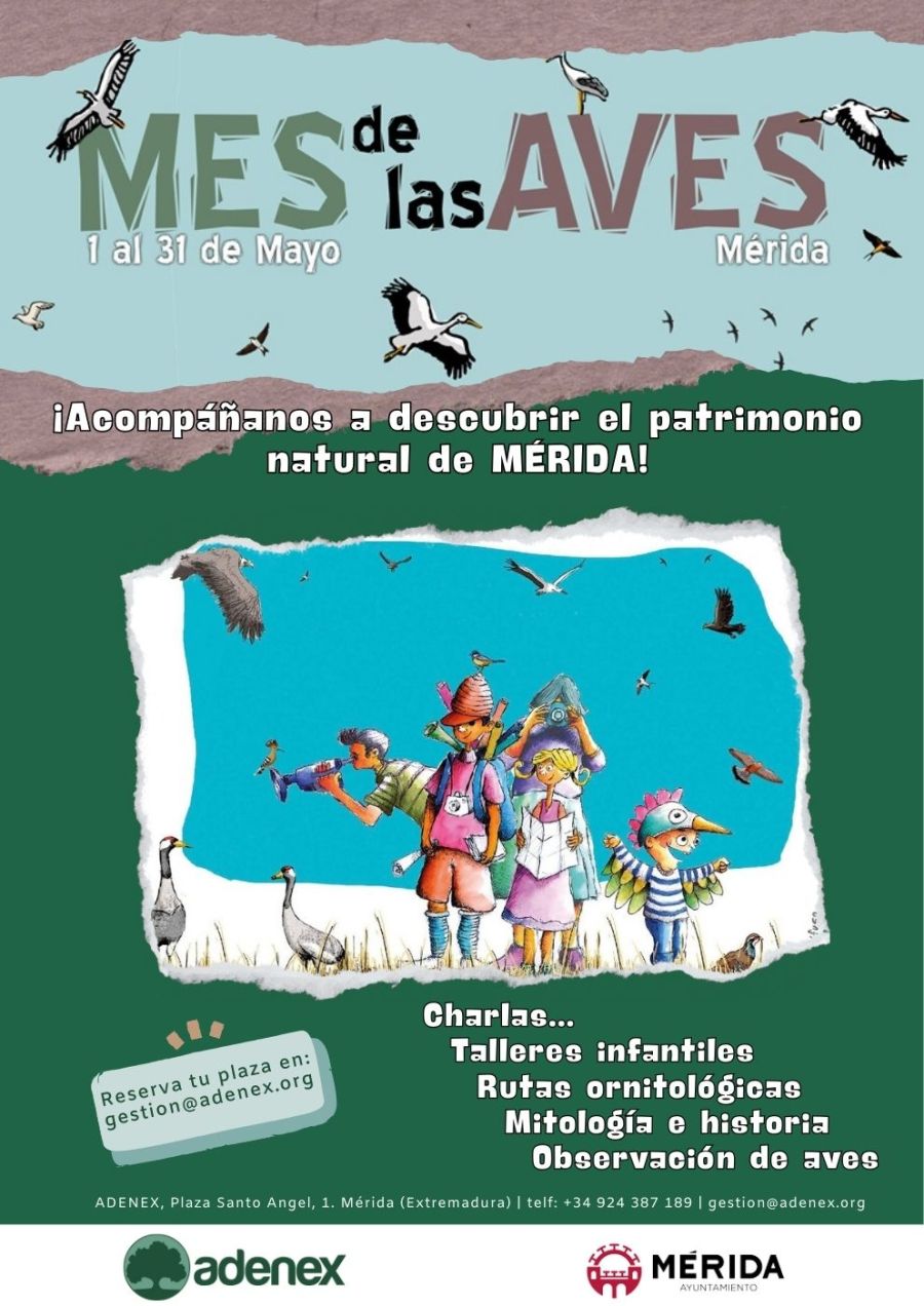 Mes de las AVES 2025 | Mérida