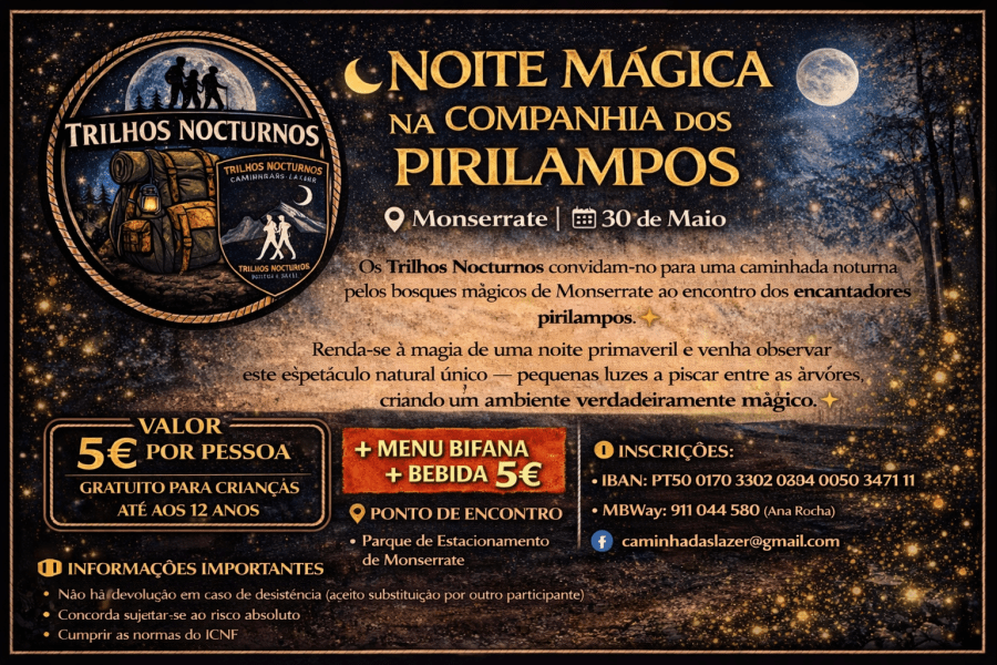 NOITE MÁGICA NA COMPANHIA DOS PIRILAMPOS