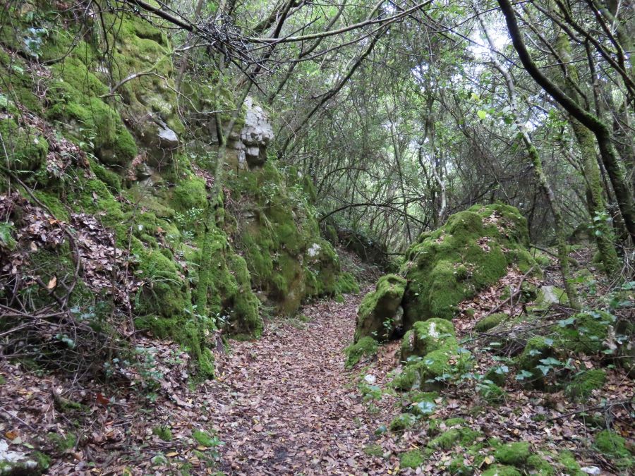 Por entre aldeias e vales de Sicó