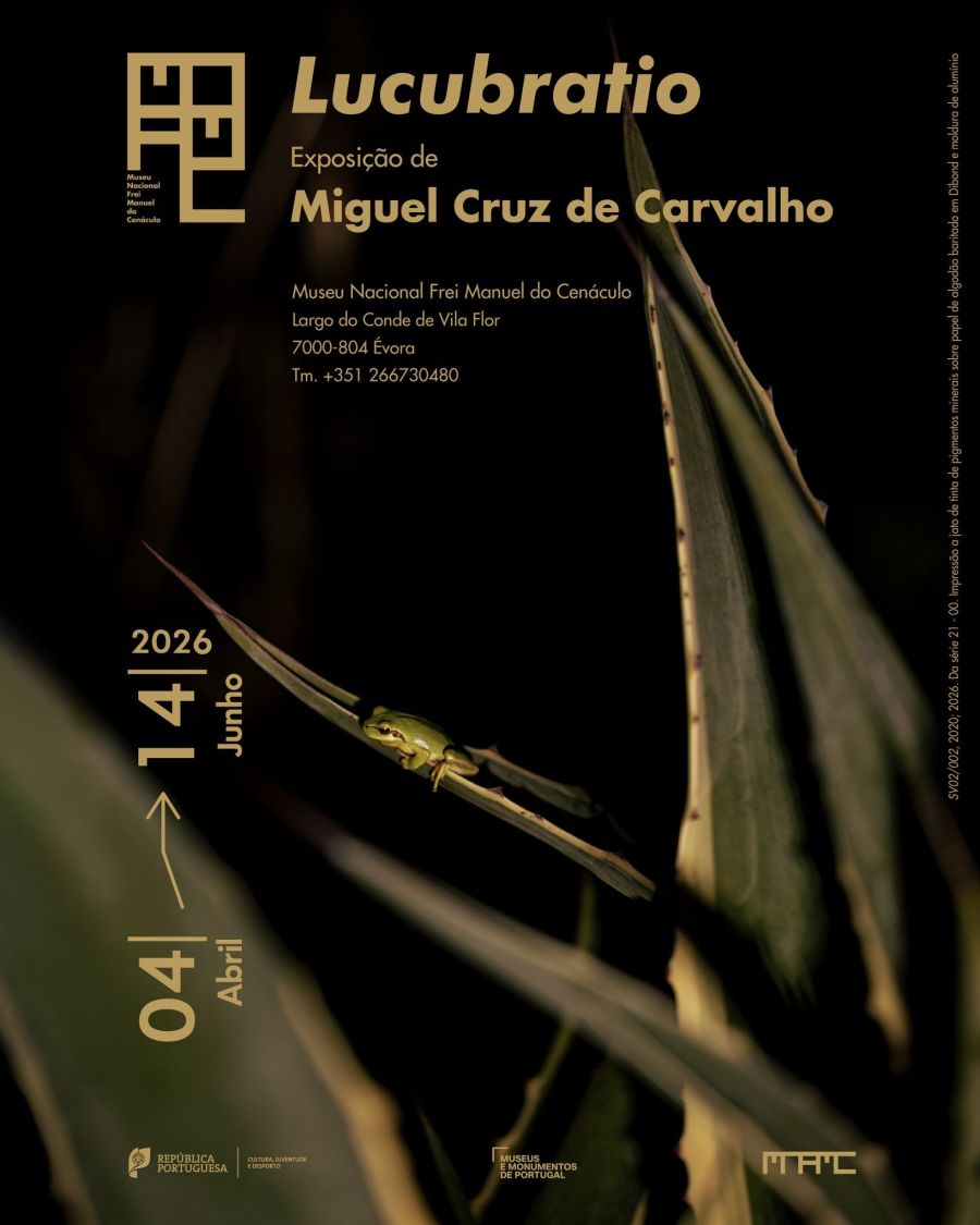 Exposição de Fotografia «Lucubratio» de Miguel Cruz de Carvalho