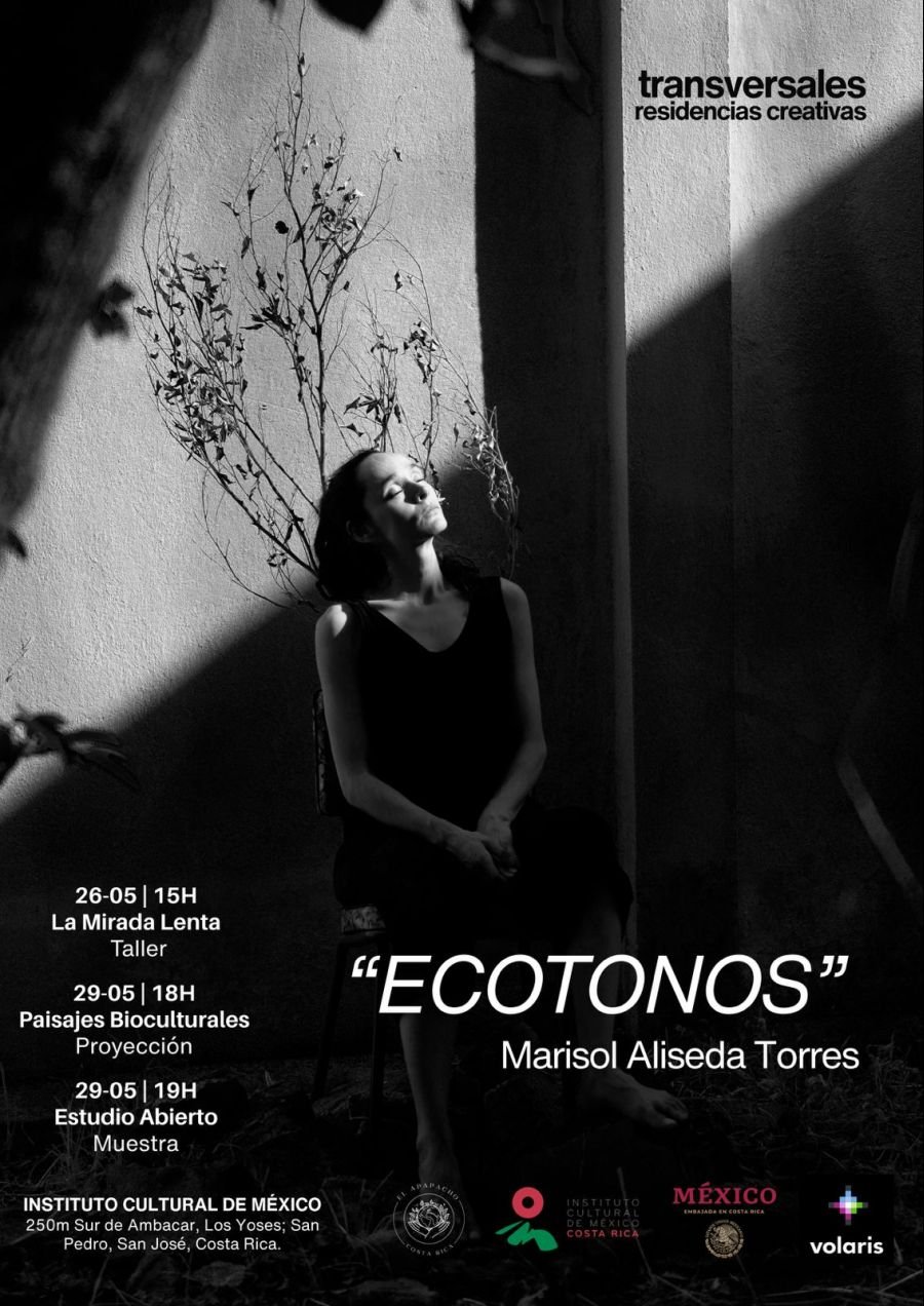 Transversales - Residencias Creativas, presentando a la destacada artista mexicana Marisol Aliseda Torres.