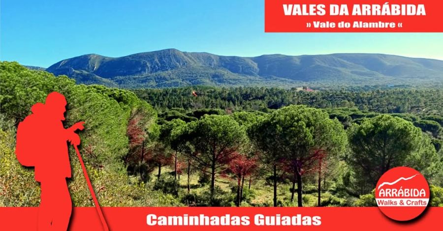 Caminhada . Vales da Arrábida . Azeitão 