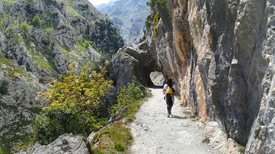 Picos de Europa – Astúrias e Cantábria - 6 a 10 de Junho 2025