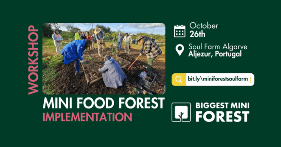 Mini Food Forest: Implementation Workshop