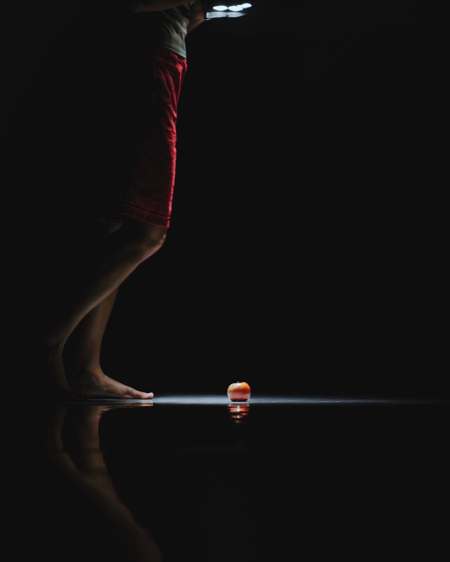 PERFORMANCES PERFORMACT